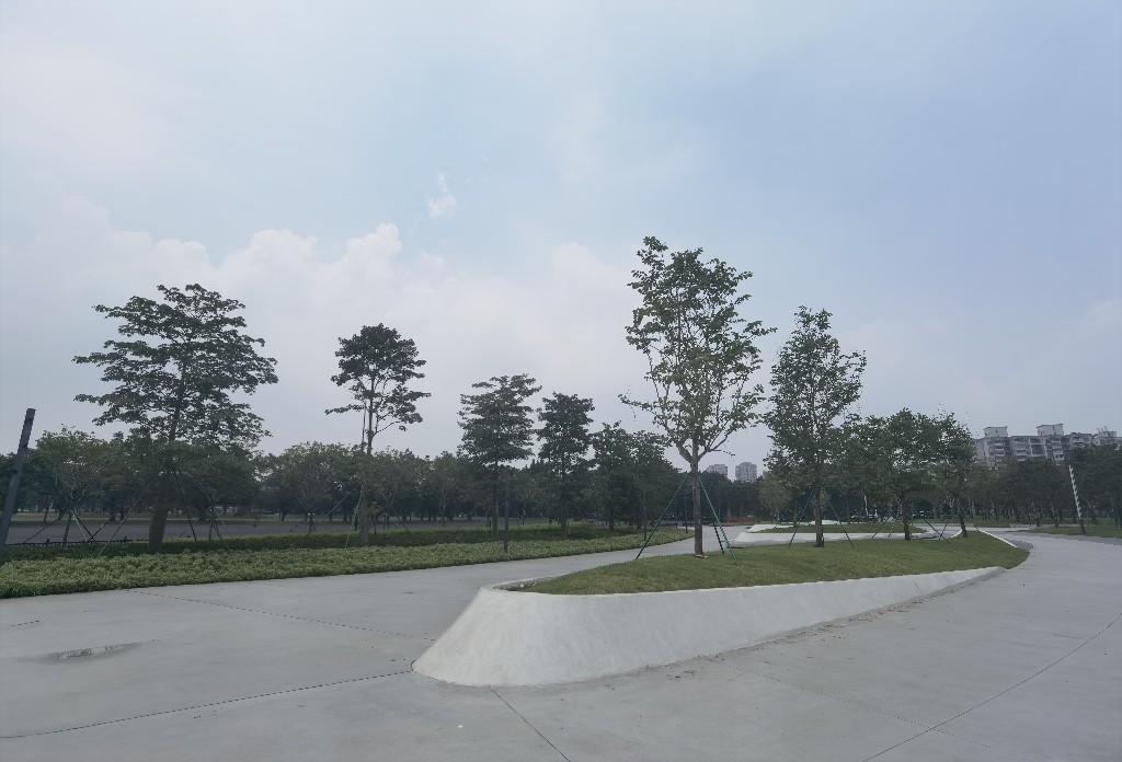 广东奥体中心升级后首秀！十五运会田径测试赛13日鸣枪九游体育(图4)