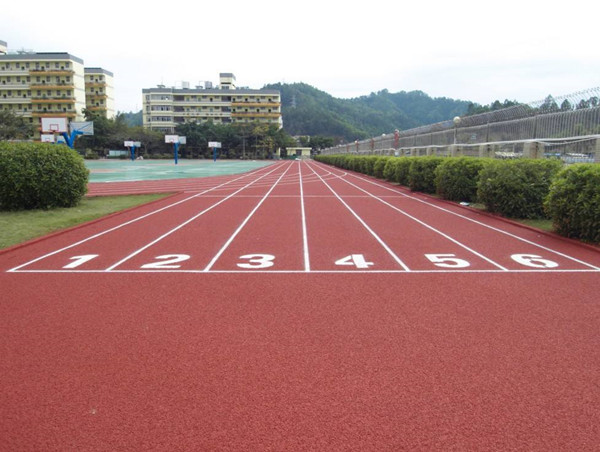 九游体育从东京到北京：田径运动的传奇与未来(图1)