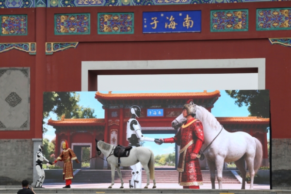 “跃动青春·亦彩九游体育纷呈”第61届北京市中小学生田径运动会暨北京学生金奥运动队田径会开幕(图3)