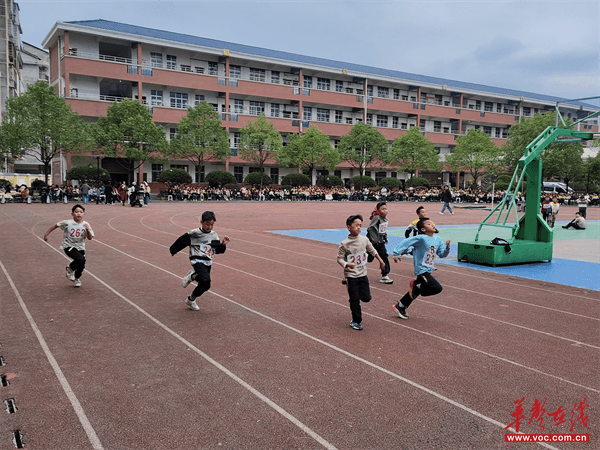 九游体育活力赛场 逐梦奔跑 辰溪县黄溪口镇中心小学2025秋季田径运动会圆满落幕(图2)