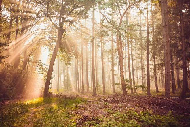 中国九游体育运动员打破田径项目纪录备战巴黎奥运会(图2)
