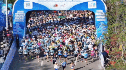 九游体育官宣了！2026象山半程马拉松定档11月(图2)