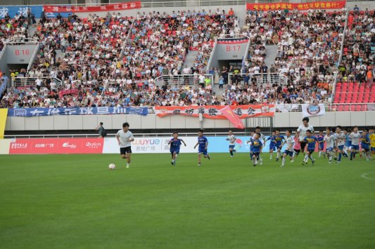 九游体育党建为魂实干为基：潍坊体育高质量发展的启示与展望(图3)