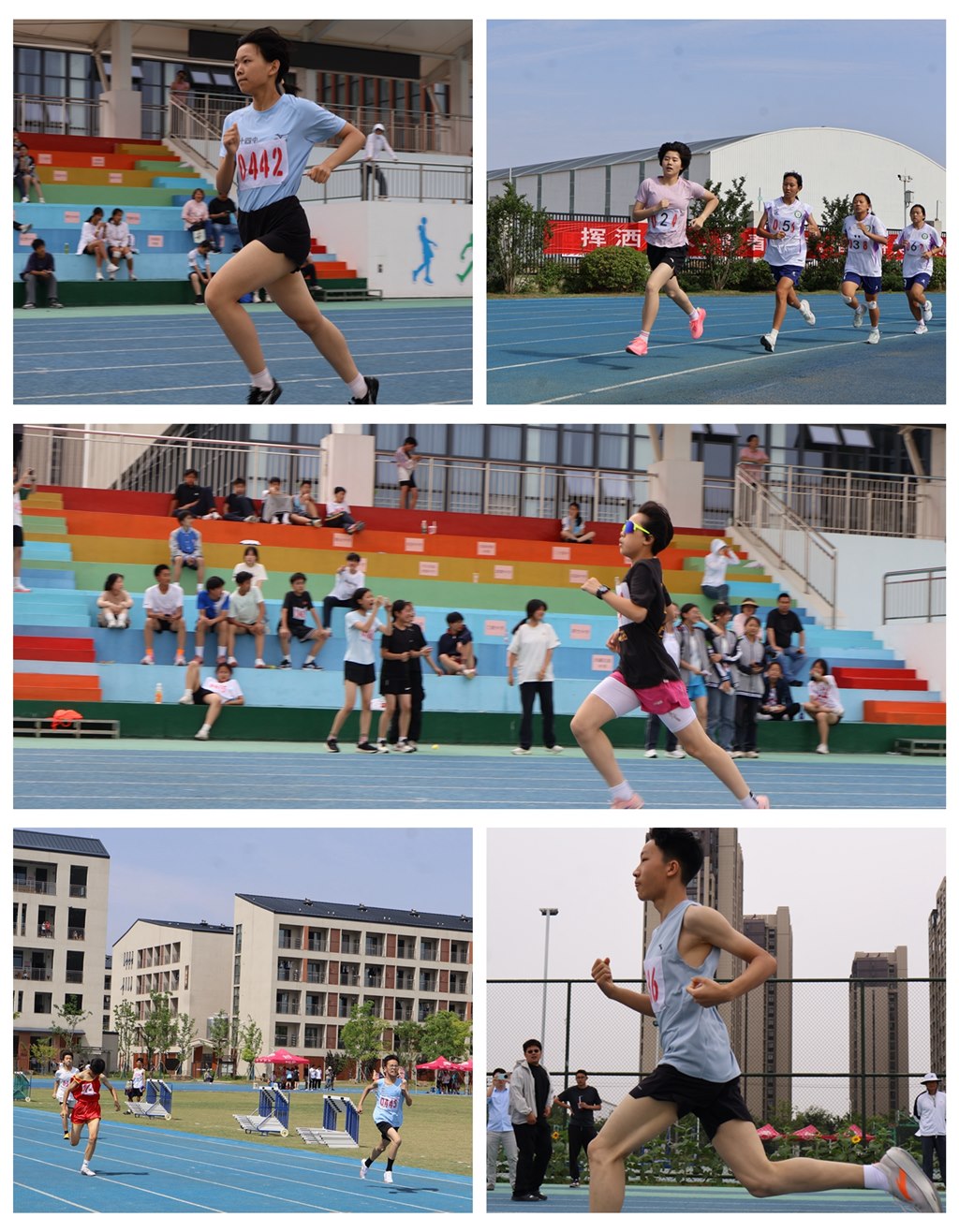 2026年全国田径中长跑项群赛（第1站）在郑州圆九游体育满落幕(图1)